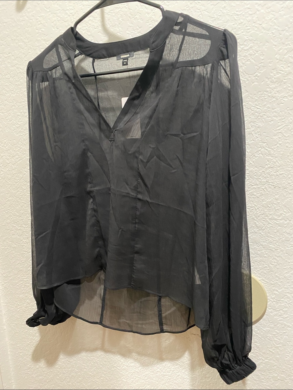 Express Black Sheer V-Neck Blouse with Long Sleeves